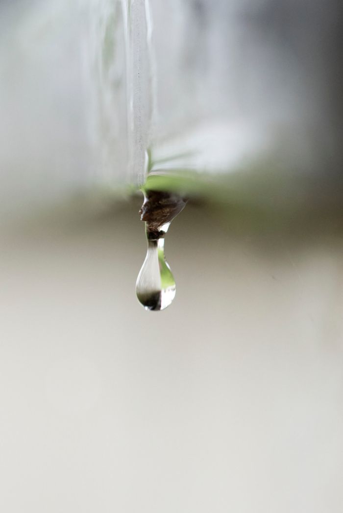Detailed macro image capturing a solitary waterdrop hanging with blurred background.